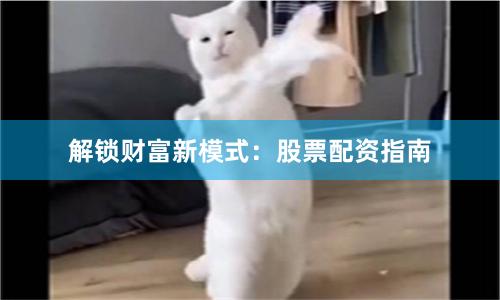 解锁财富新模式：股票配资指南