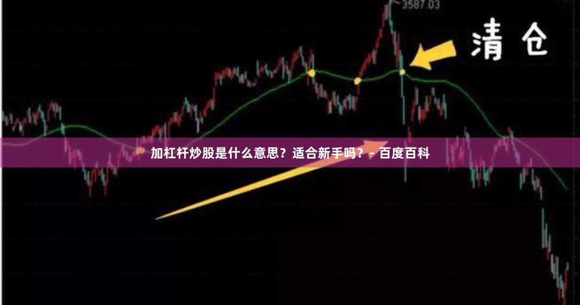 加杠杆炒股是什么意思？适合新手吗？- 百度百科