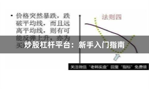 炒股杠杆平台:新手入门指南