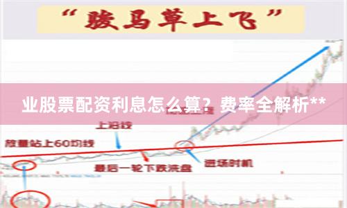 业股票配资利息怎么算？费率全解析**